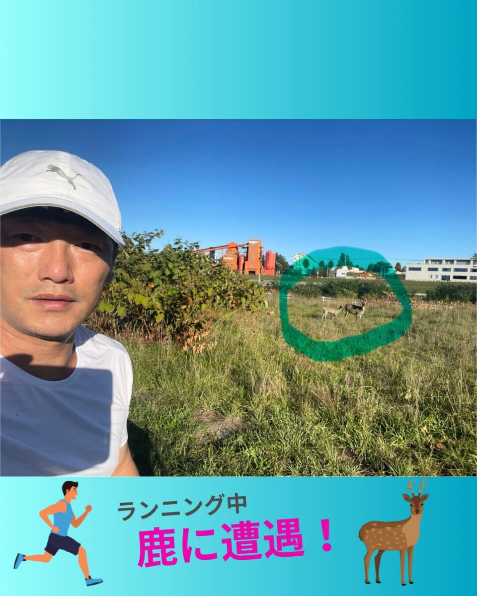 鹿に遭遇しました！