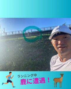 鹿に遭遇しました！