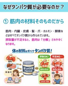 ボディメイクのポイント23「摂取しようタンパク質」